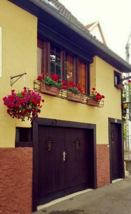 Chez Mamema, Maison Alsacienne Route Des Vins Kintzheim Esterno foto